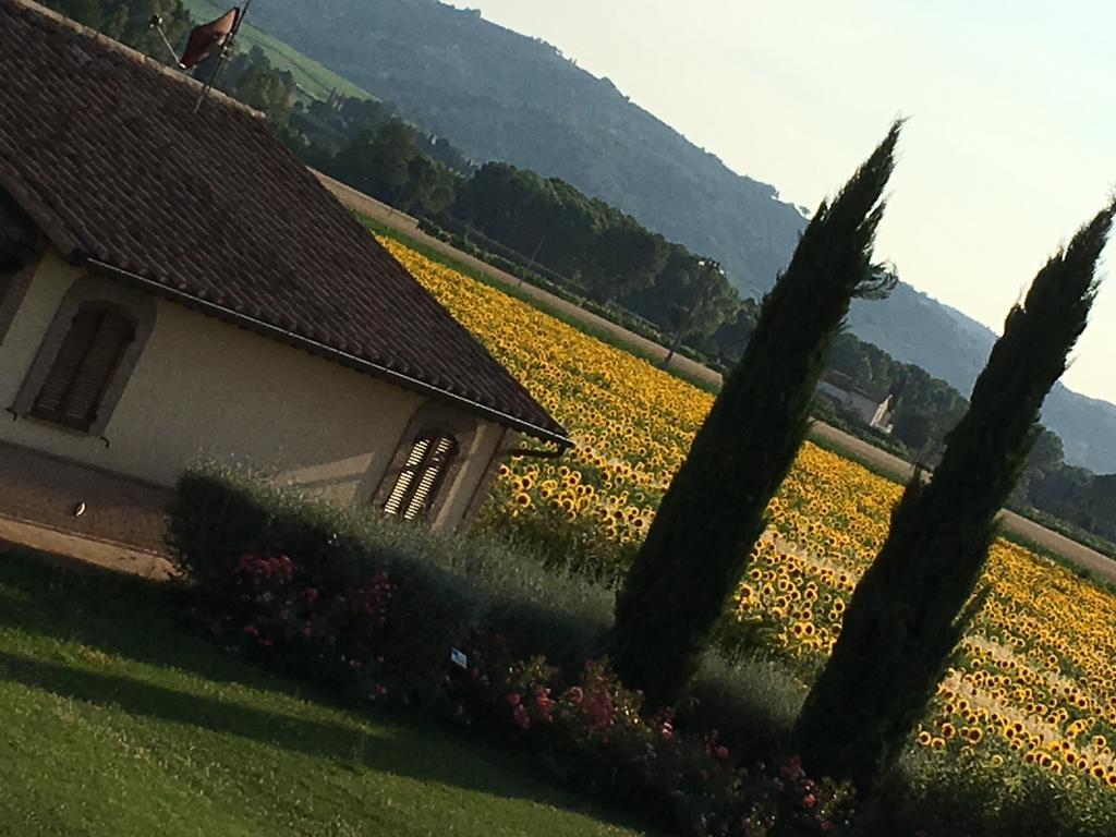 Agriturismo Le Rondini Di Francesco Di Assisi Cannara Exterior photo